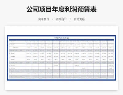 公司项目年度利润预算表