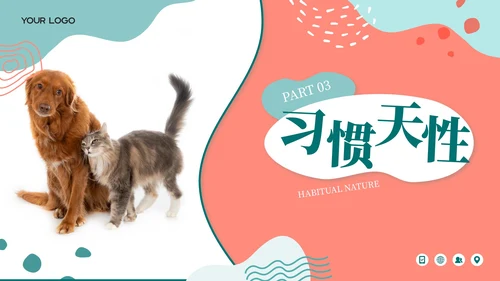 莫兰迪色卡通风宠物饲养心得经验分享PPT模板