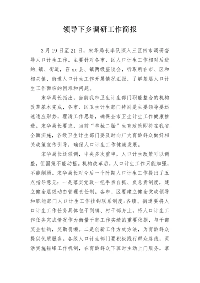 领导下乡调研工作简报.docx