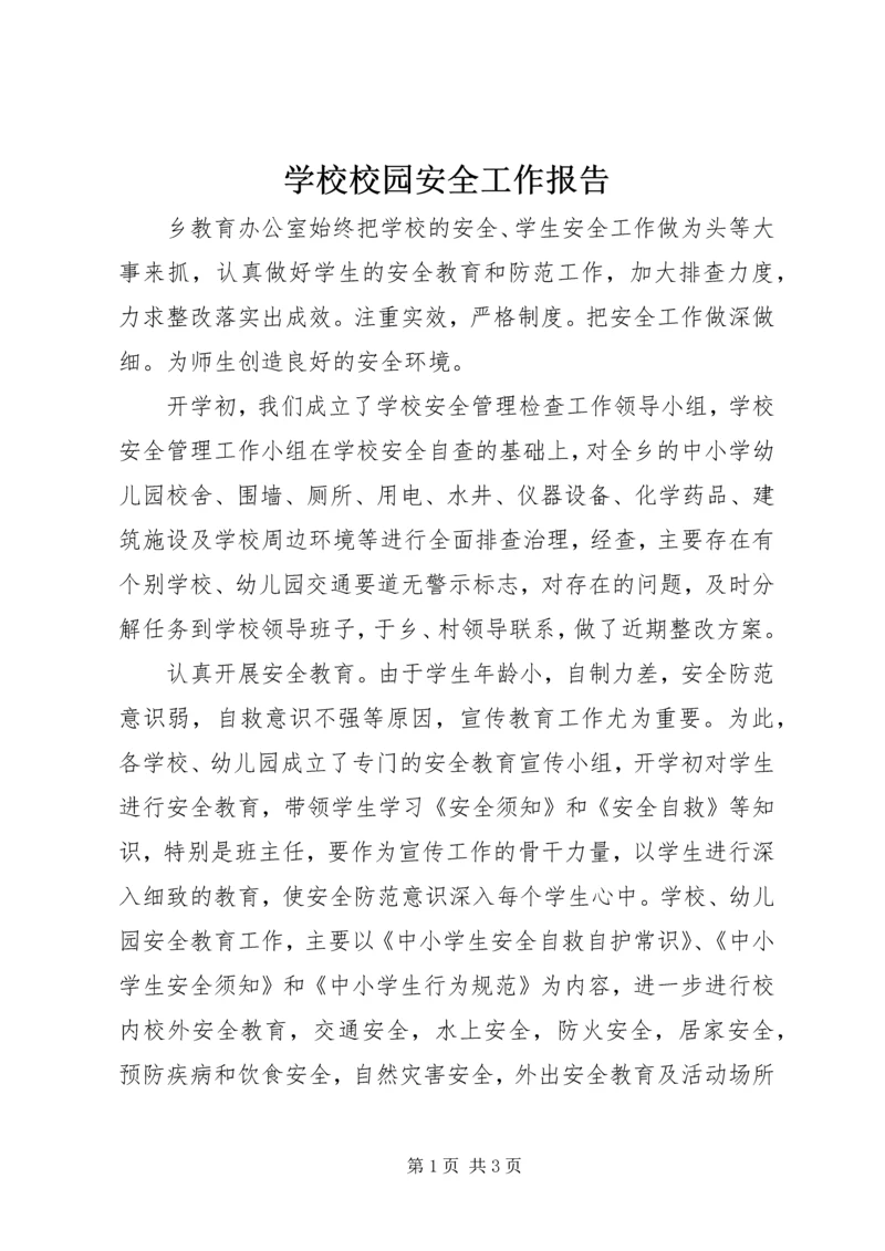 学校校园安全工作报告.docx