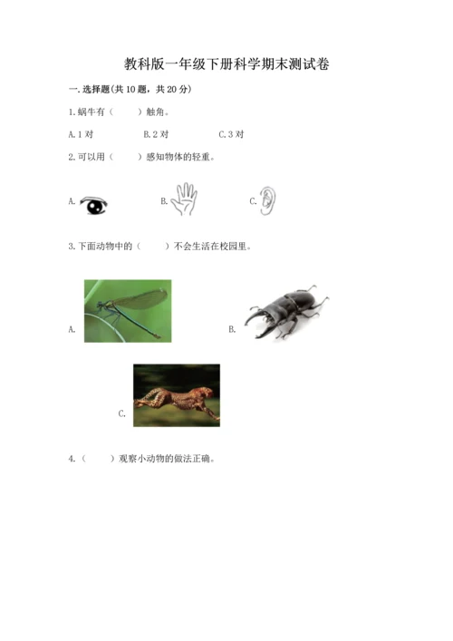 教科版一年级下册科学期末测试卷精品（典优）.docx