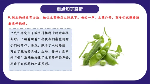 统编版2023-2024学年二年级语文上册单元复习第一单元（复习课件）
