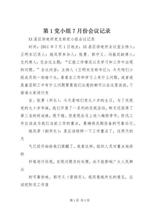 第1党小组7月份会议记录.docx