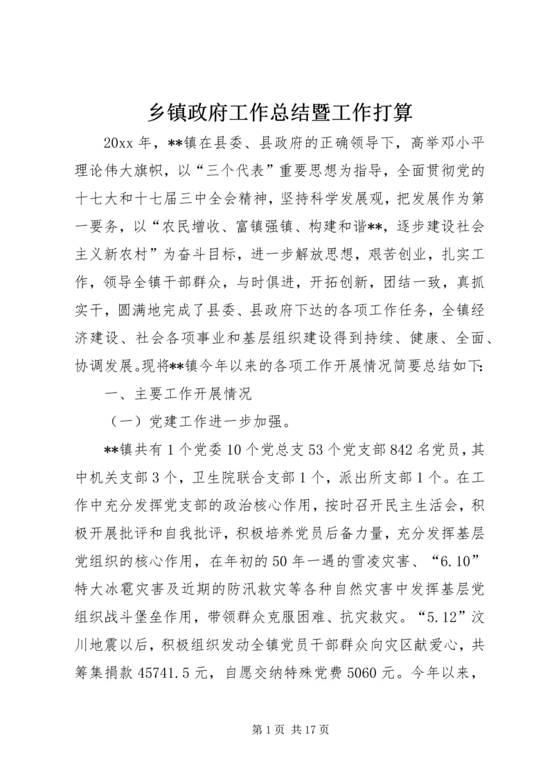 乡镇政府工作总结暨工作打算.docx