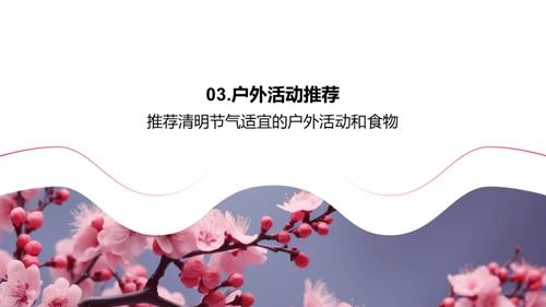 清明节气生活宝典