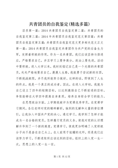 共青团员的自我鉴定(精选多篇)_1.docx