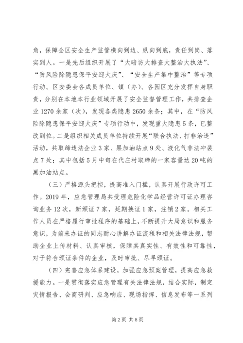 应急管理局工作总结及XX年工作计划.docx