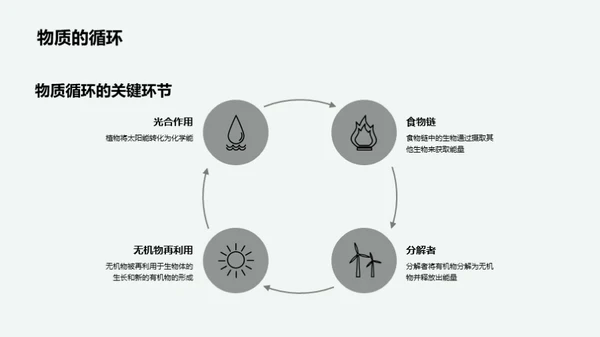 探索生态圈奥秘