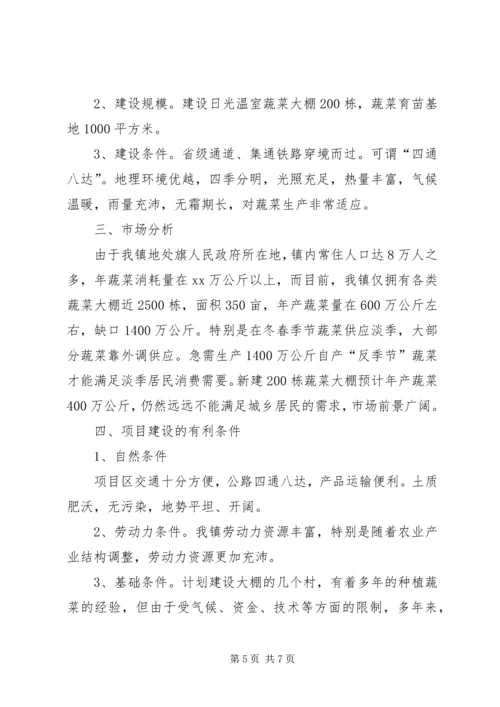 蔬菜大棚项目建设可行性报告 (6).docx