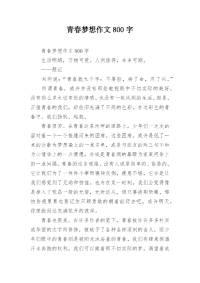 青春梦想作文800字.docx