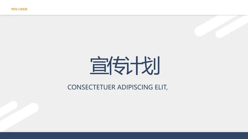 手机银行营销方案工作总结汇报PPT