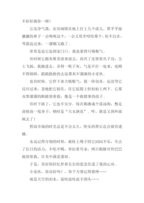 雨天我想起了作文.docx