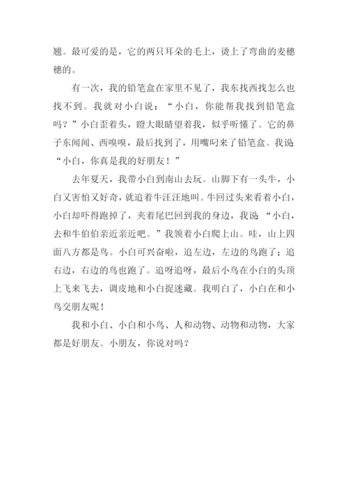 我的小宠物作文400字.docx