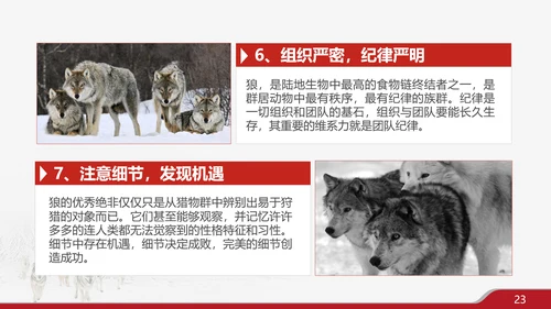 狼性文化企业培训PPT模板