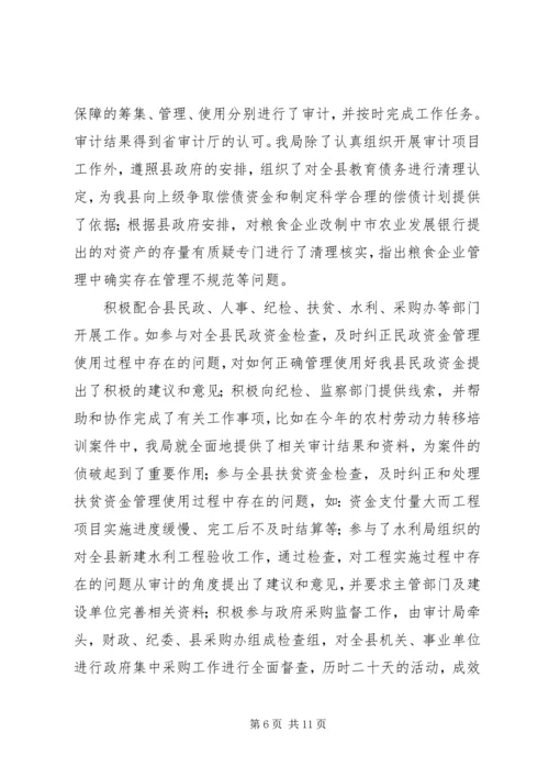 市审计局总结及年度工作规划 (3).docx