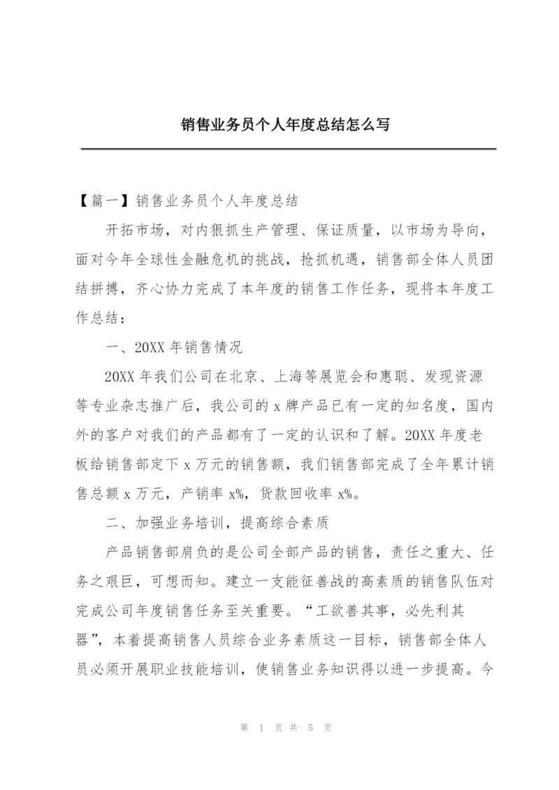 销售业务员个人年度总结怎么写.docx