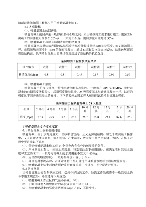 干式喷射混凝土施工技术.docx