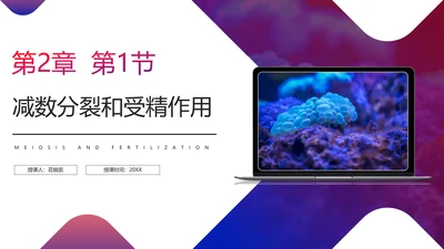 初高中生物课减数分裂作用PPT教学课件
