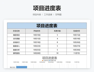 项目进度表
