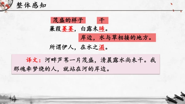 12《诗经》二首《蒹葭》课件(共19张PPT)