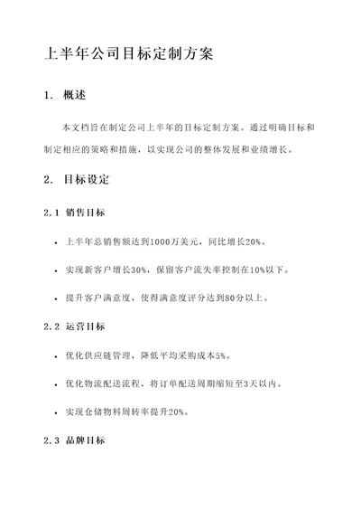 公司上半年目标定制方案