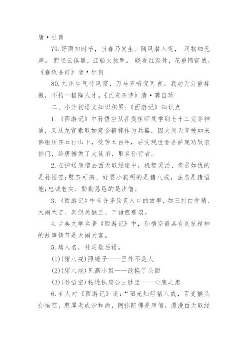 小升初语文必背知识点总结.docx