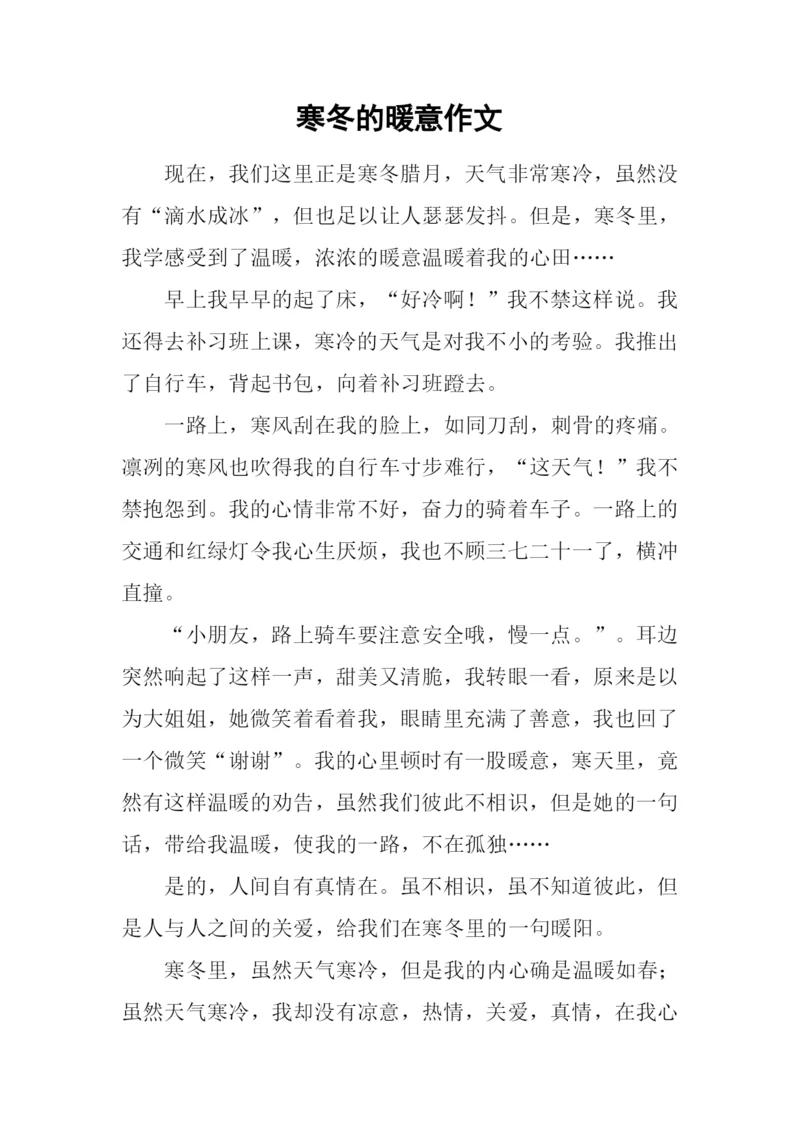 寒冬的暖意作文.docx