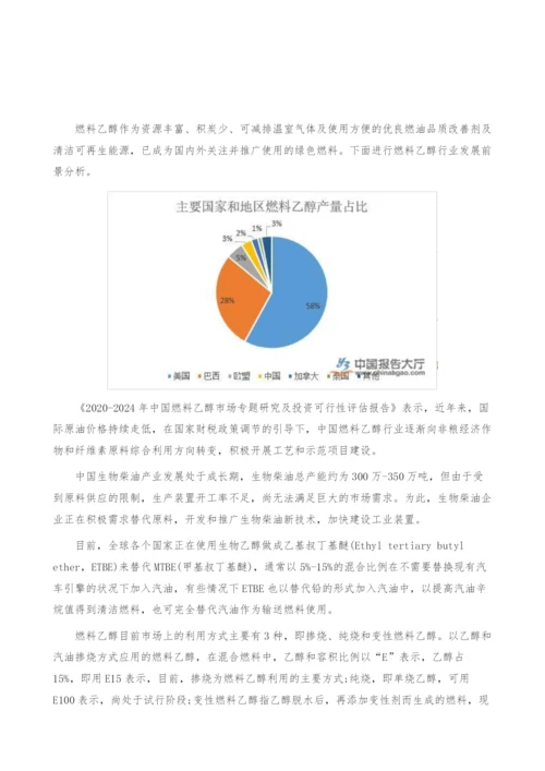 燃料乙醇行业发展前景分析-产业报告.docx