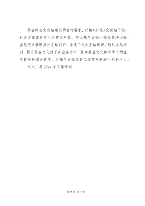 市文广局工作计划.docx