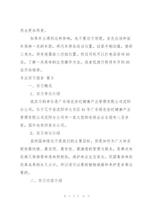 专业实习报告模板汇编八篇.docx