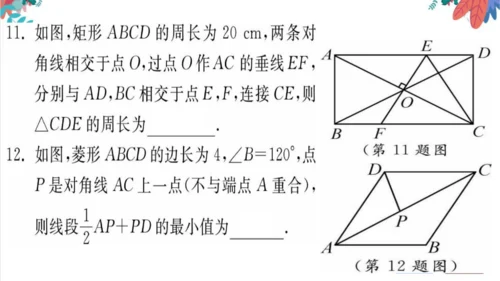 人教版数学八下专题 滚动训练（四） 特殊的平行四边形 习题课件（含答案）