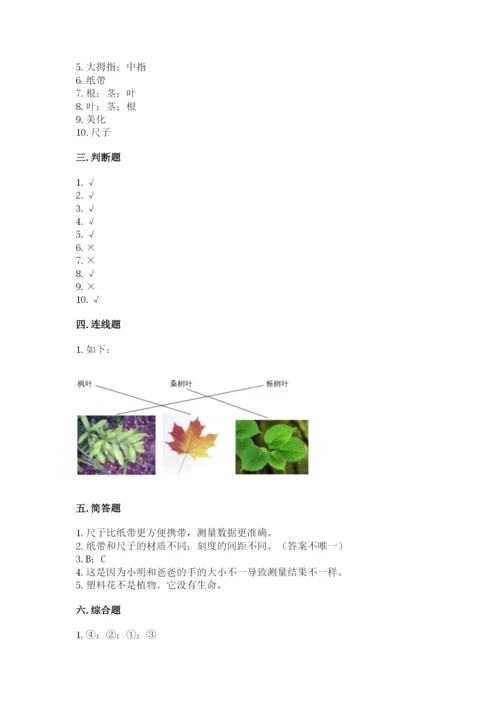教科版一年级上册科学期末测试卷精品带答案.docx