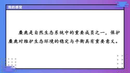 七年级上册 第五单元任务二 亲近动物，丰富生命体验  课件(共27张PPT)