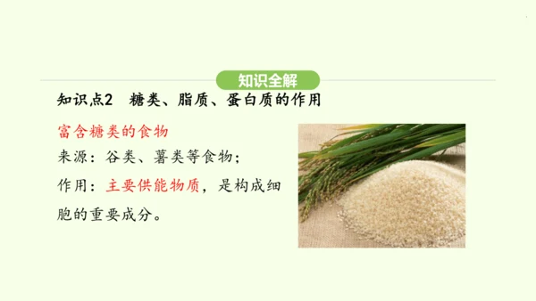 第四单元-第二章-第一节 食物中的营养物质课件-2024-2025学年七年级生物下学期人教版(202