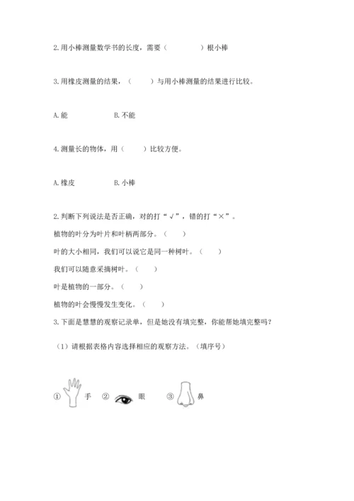 教科版一年级上册科学期末测试卷含完整答案【易错题】.docx