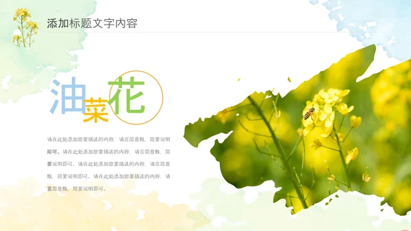 春天乡村旅游油菜花风景油菜花田PPT模板