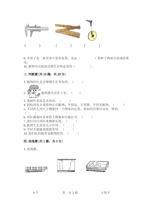 教科版一年级上册科学期末测试卷【必刷】.docx