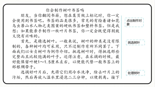 统编版语文五年级上册第五单元 习作例文《鲸》《风向袋的制作》 课件