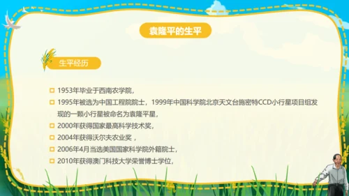杂交水稻之父袁隆平通用PPT模板