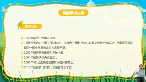 杂交水稻之父袁隆平通用PPT模板