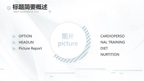 公司品牌介绍宣传策划方案工作总结动态PPT