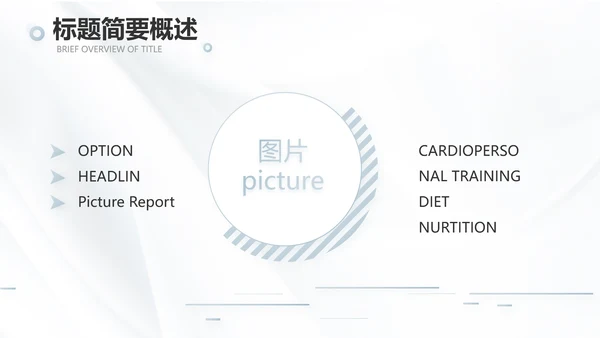 公司品牌介绍宣传策划方案工作总结动态PPT