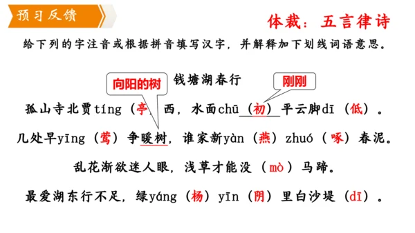 13 唐诗五首 钱塘湖春行 课件