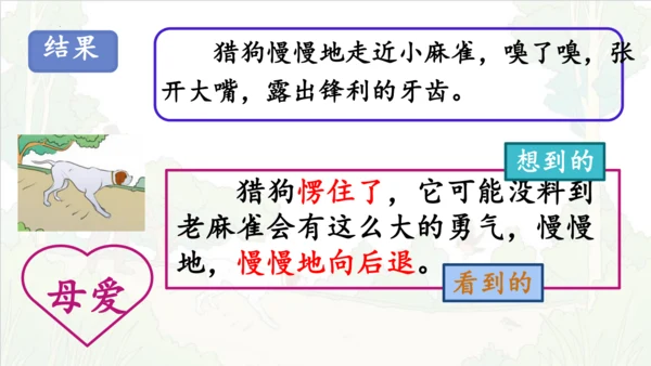 第16课《麻雀》课件