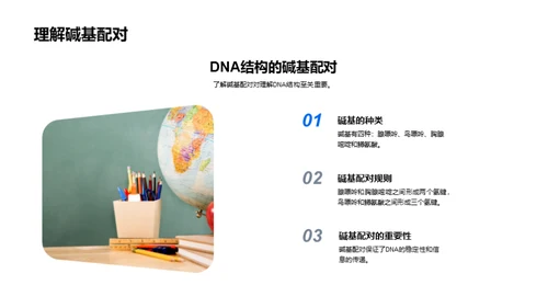 DNA：生命的密码