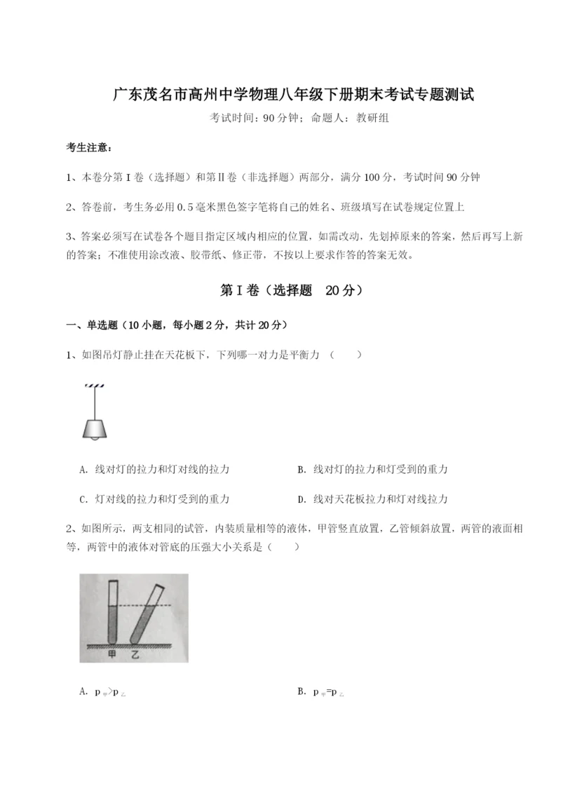 专题对点练习广东茂名市高州中学物理八年级下册期末考试专题测试试卷（含答案详解版）.docx