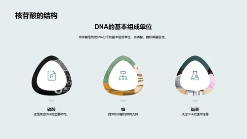 DNA探秘之旅