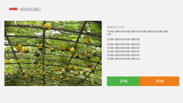 有机水果蔬菜产品宣传介绍通用PPT模板