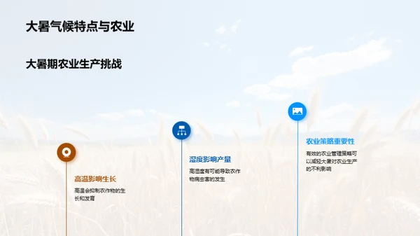 大暑农业应对策略