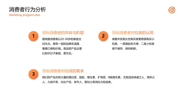 公司品牌营销方案计划PPT模板